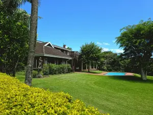 버즈 오브 파라다이스 B&B