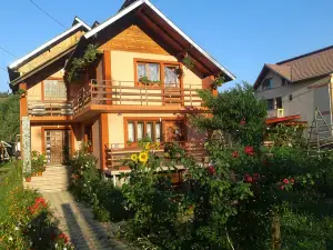 Nopti de Vara Transfăgărășan