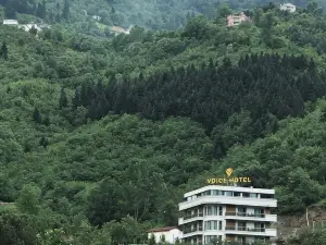 Voice Hotel