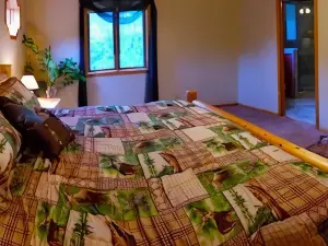 Boulder Run Log Cabin w/ Hot Tub and Pool