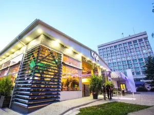 Hotel Trotuş