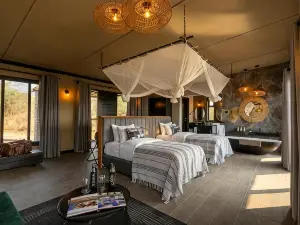 Tarangire Elephant Springs