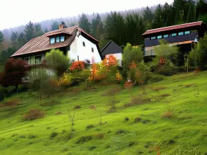 Apartment Šefic