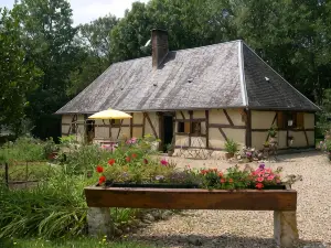 Stuartlodge s