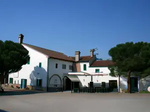Il Feudo