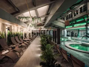Thermal Hotel Mosonmagyarovar