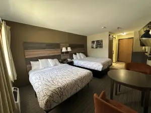 Roosevelt Inn Mount Rushmore