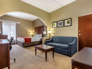 Comfort Inn & Suites Mocksville I-40