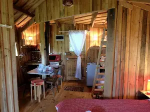 Cabane Dans les Arbres - Tree House