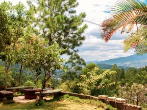 Velora Hill Ella | Panoramic Hilltop Stay #103
