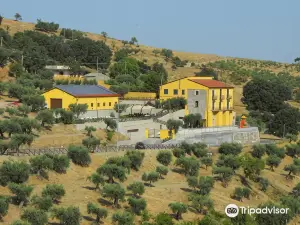 Agriturismo Valle Dell'Etna