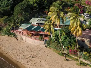 The Still Beach House