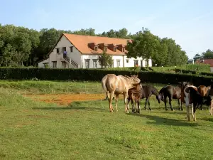 Domaine des Garennes