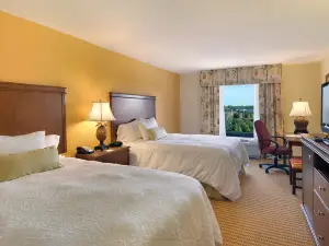Hampton Inn & Suites Tampa-Wesley Chapel