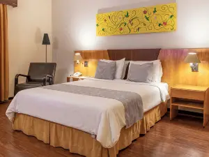 Dexter Hotel - Volta Redonda