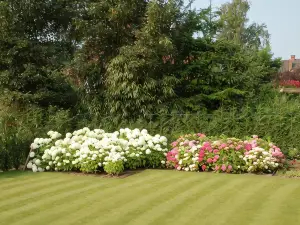 B&B Bloemenweelde