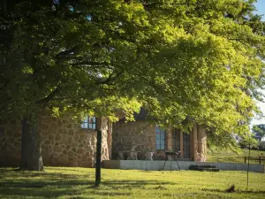 Blackbrook Farm Underberg
