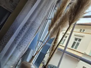 坎皮克旅館