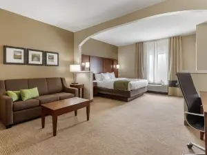 Comfort Suites Johnson City Near University