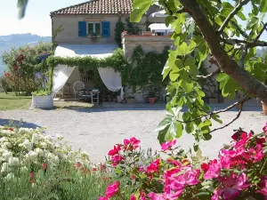 B&B Vento di Rose