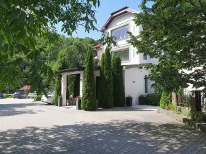 Vila Roca Hotel and Spa Apuseni