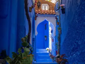 Casa Blue Star