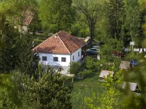 Etno Domacinstvo Saponjic
