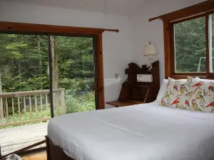 Becket Contemporary Cottage in the Woods Overlooking a Private Spring Fed Pond