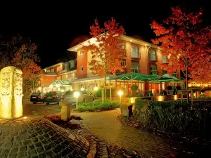 Hotel Driland
