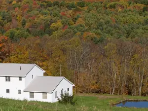 The Farmhouse, where peace and quiet awaits
