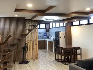 Modern Loft House Ormoc with Car Rental