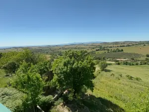 Hotel Trindade Coelho