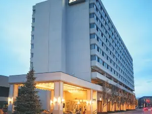 希爾頓逸林酒店-波基普希