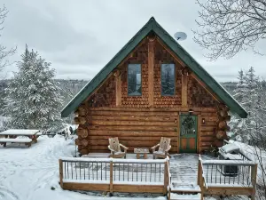Ely Log Cabin - Off Grid+Solar+WiFi - 40 acres to roam