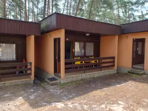 Cottage Blueberry near Macha Lake