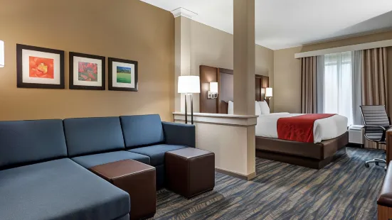 Comfort Inn & Suites Downtown Near University