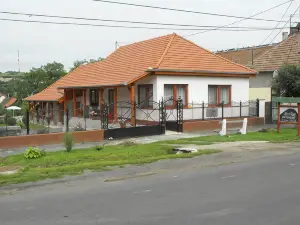 Sator-Hegy Vendeghaz