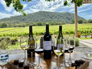 Lynx Wine Estate