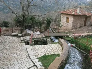 Kazas Luxury