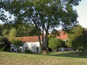 Domaine du Moulin de l'Etang