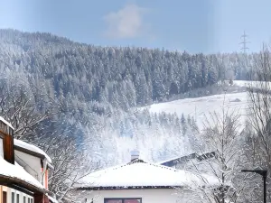Die MÜHLE #10