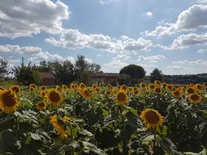 Les Hauts de Sames