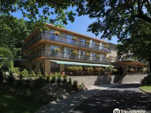 Hôtel Restaurant Logis Auberge Sundgovienne