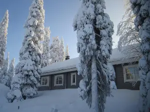 Hippu Apartment
