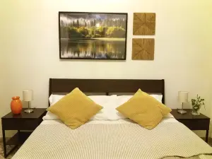 Near To Pisa Airport Guest-House