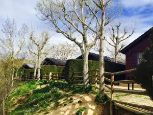 Bungalows - Càmping El Solsonès