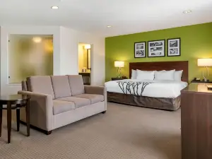 Sleep Inn Allentown-Fogelsville