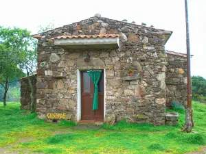 Agriturismo Pentuma