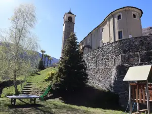 Cà Armonia