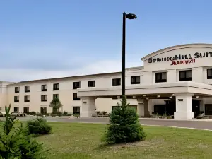 SpringHill Suites Grand Rapids Airport Southeast